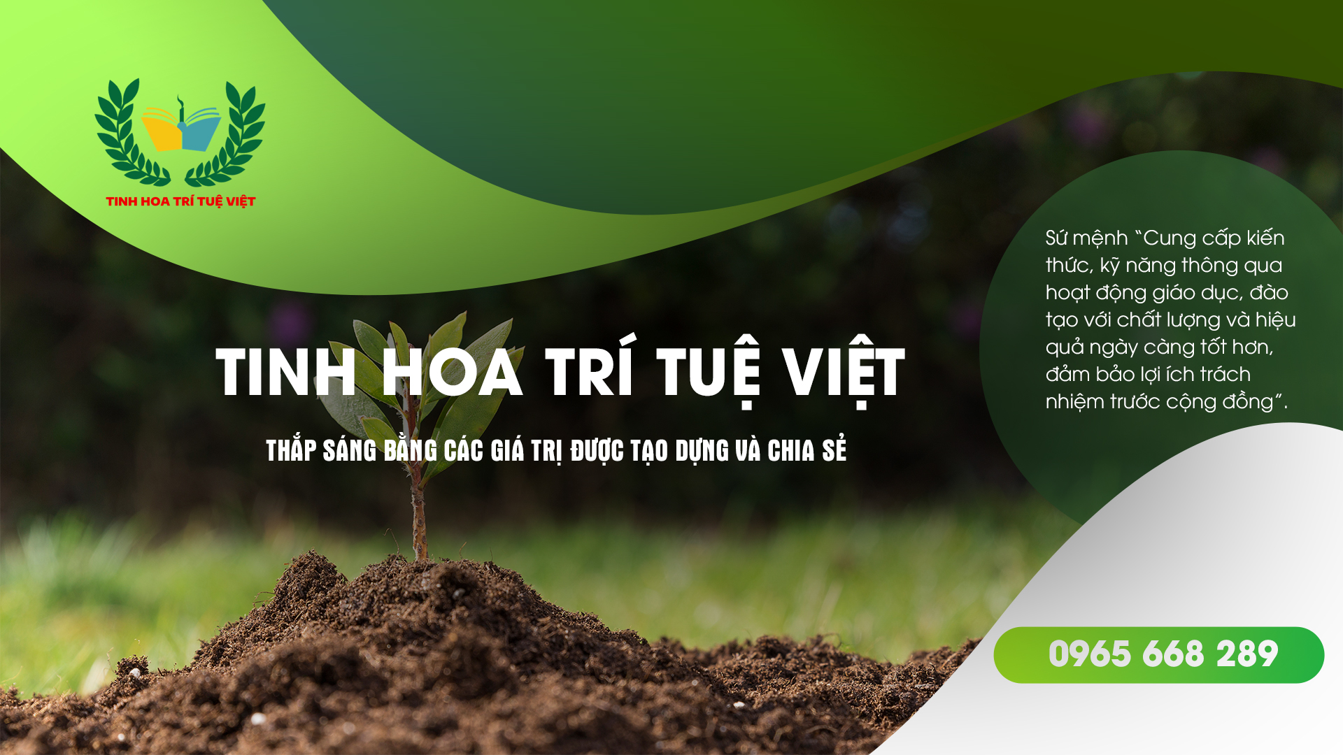 tinh-hoa-tri-tue-viet